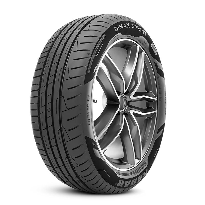 215/65R16 RADAR DIMAX SPRINT